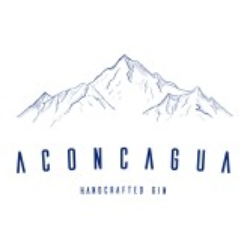 gin aconcagua